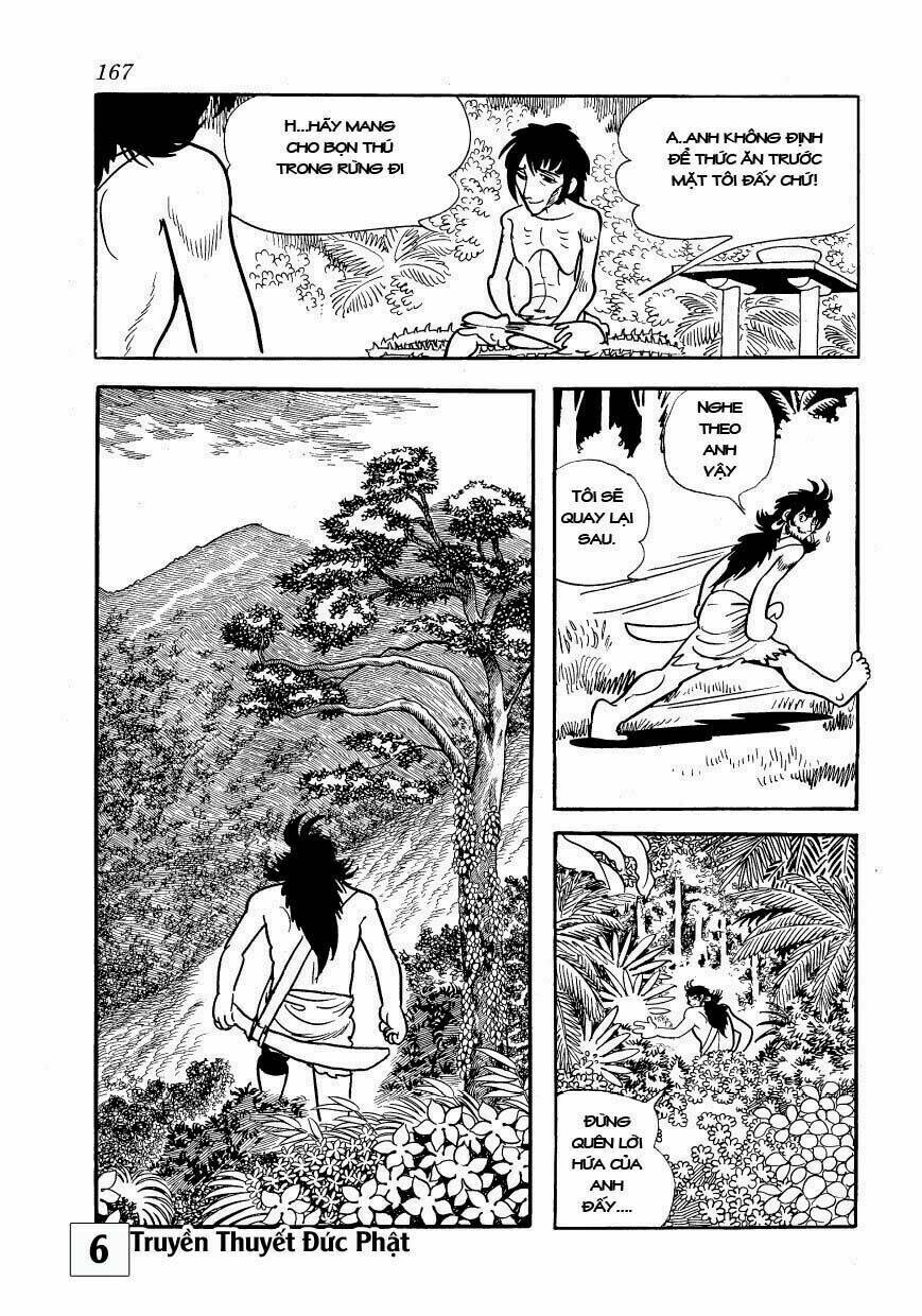 page_21.jpg