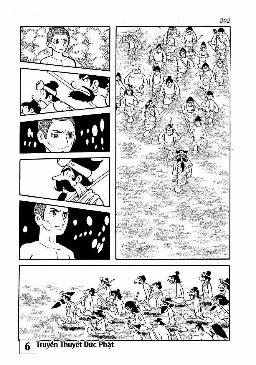 page_25.jpg