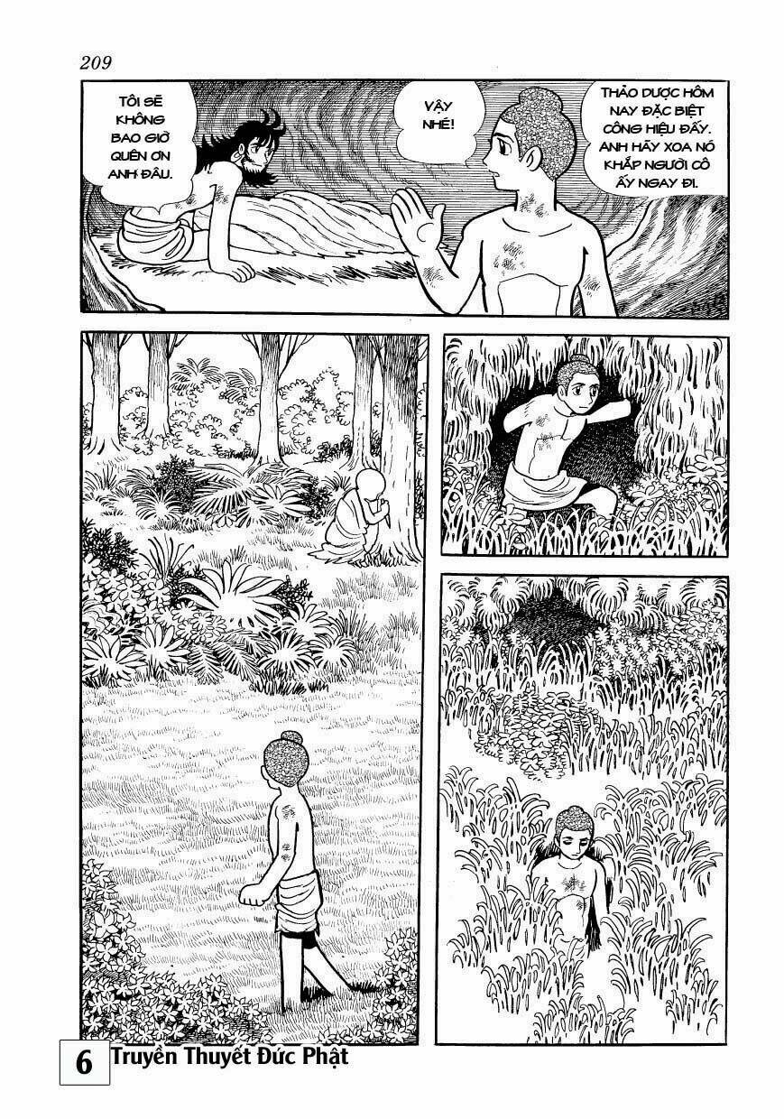 page_32.jpg