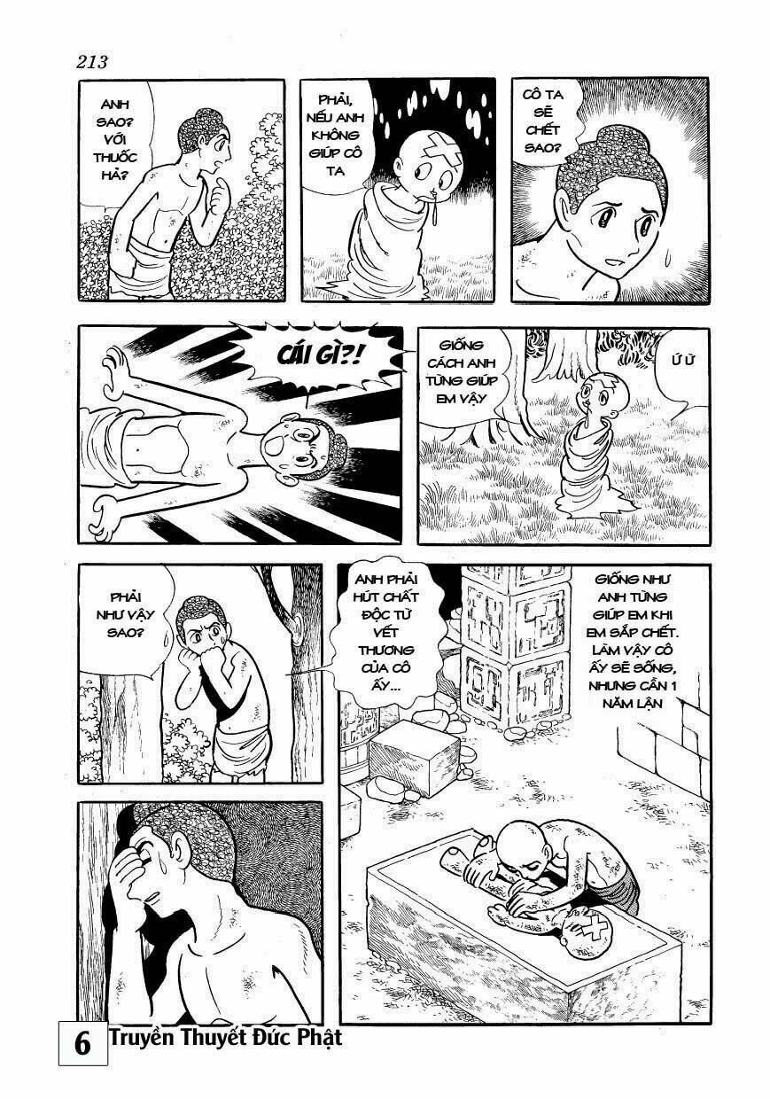 page_36.jpg