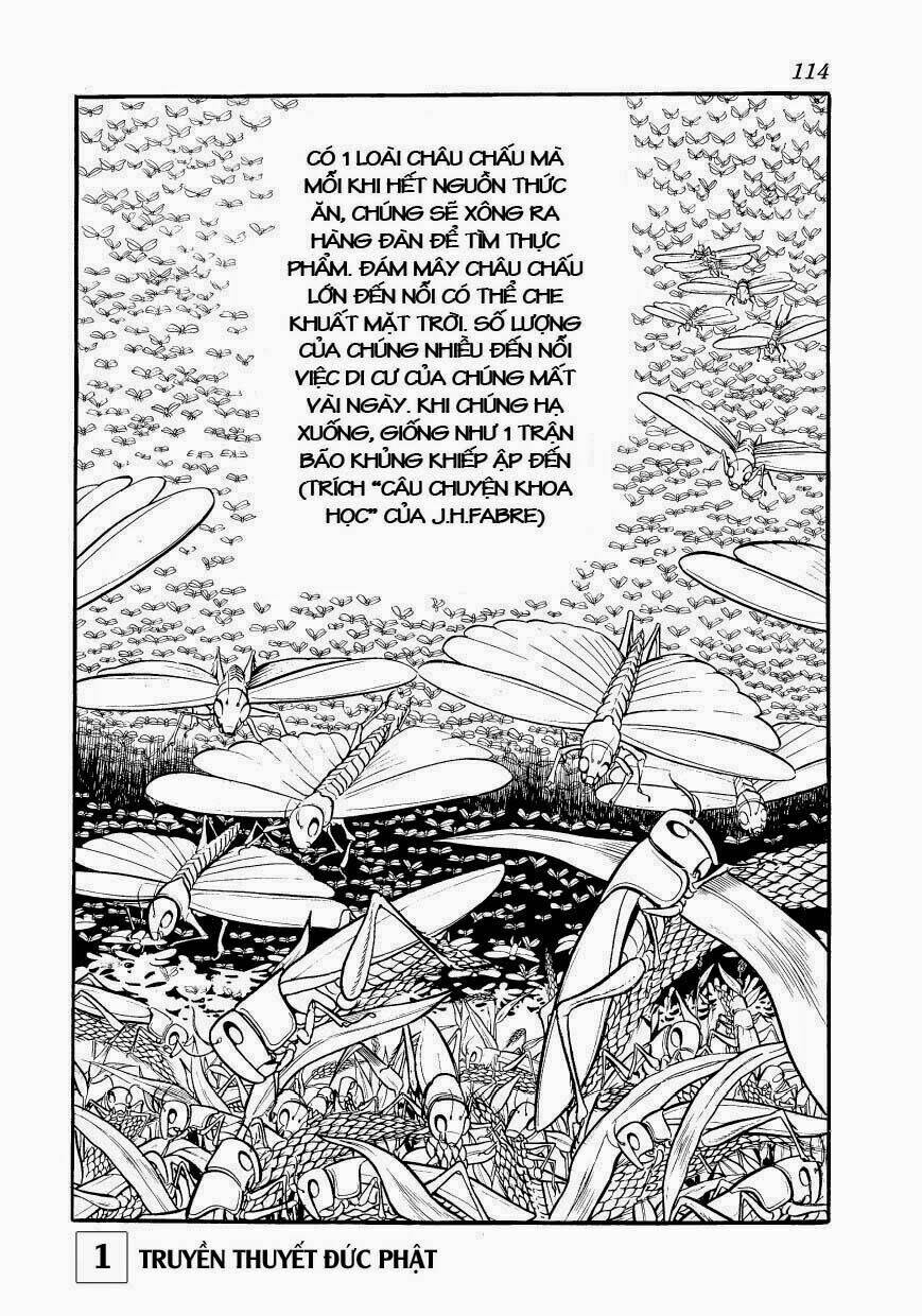 page_10.jpg