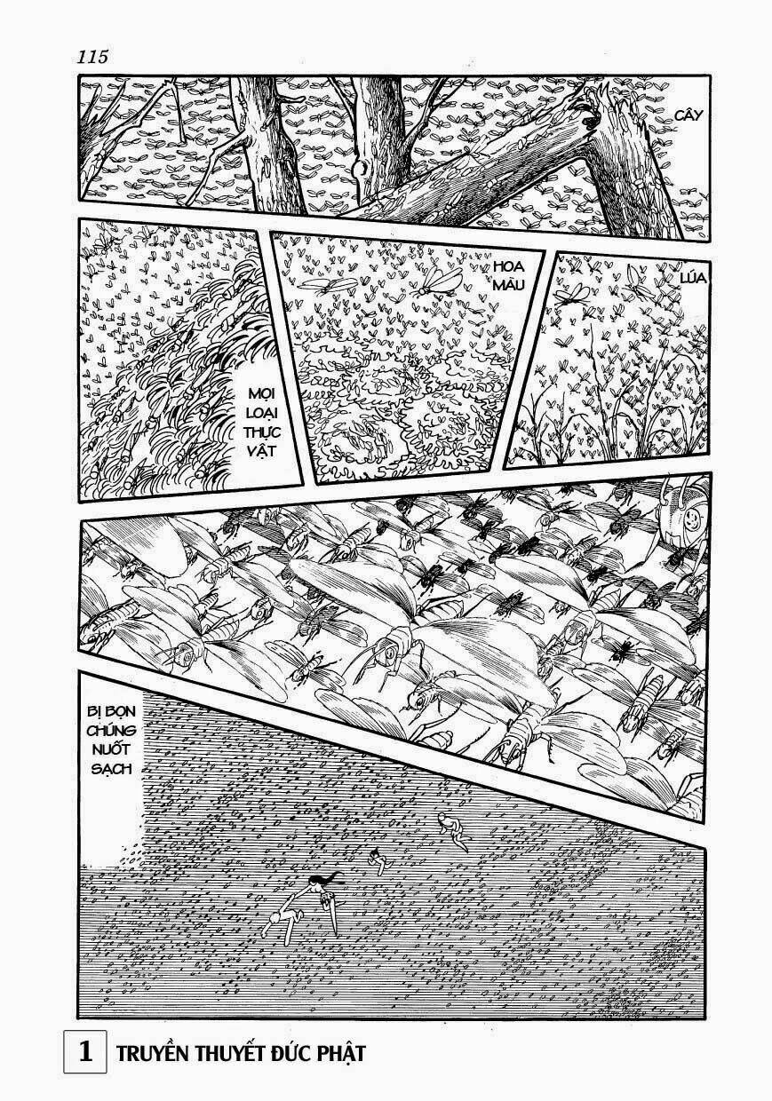 page_11.jpg
