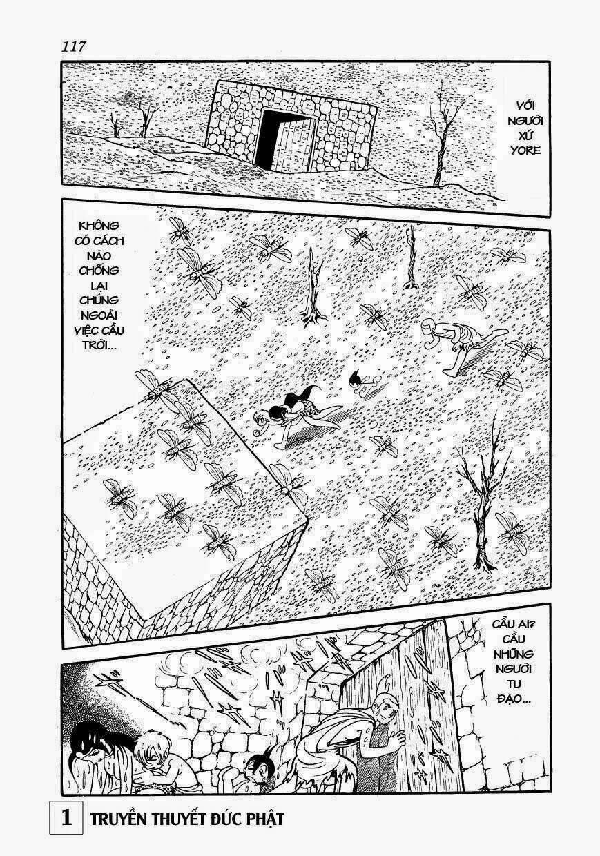 page_13.jpg