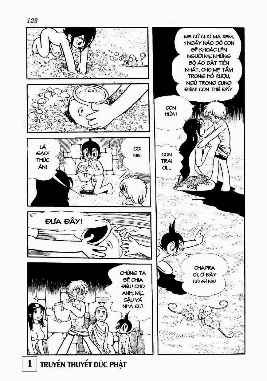 page_19.jpg