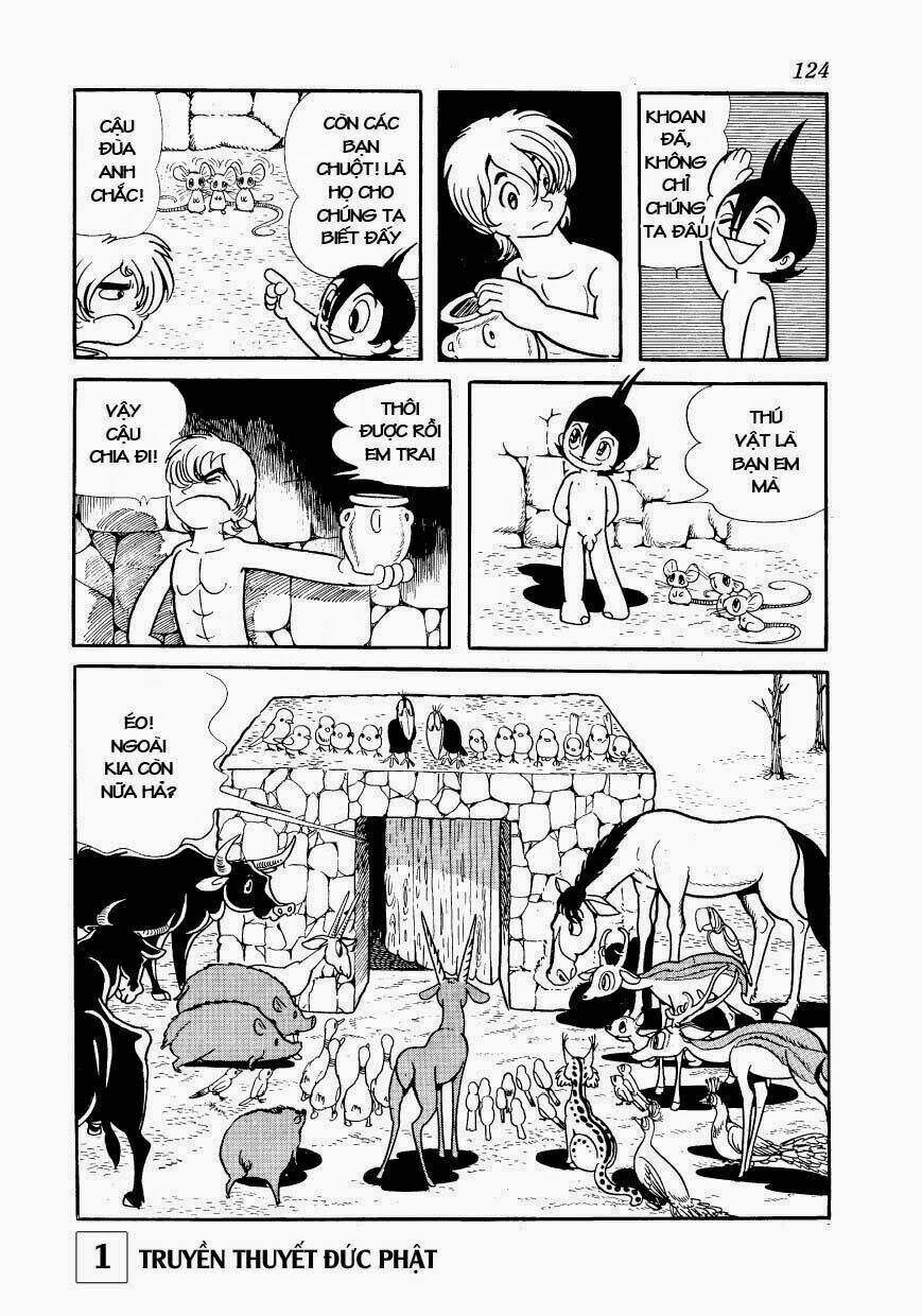 page_20.jpg