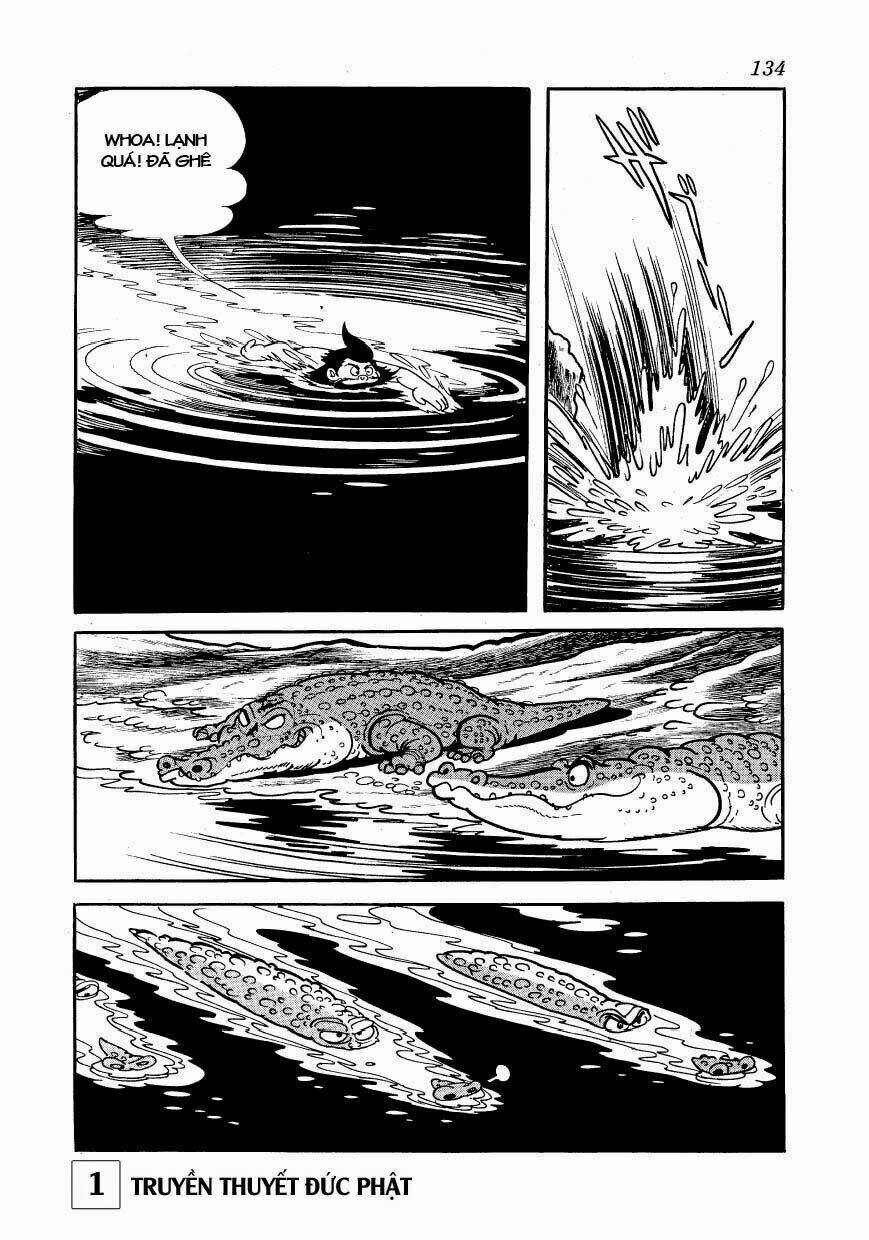 page_30.jpg