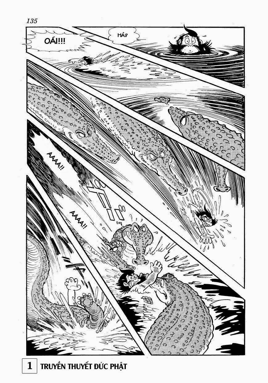 page_31.jpg