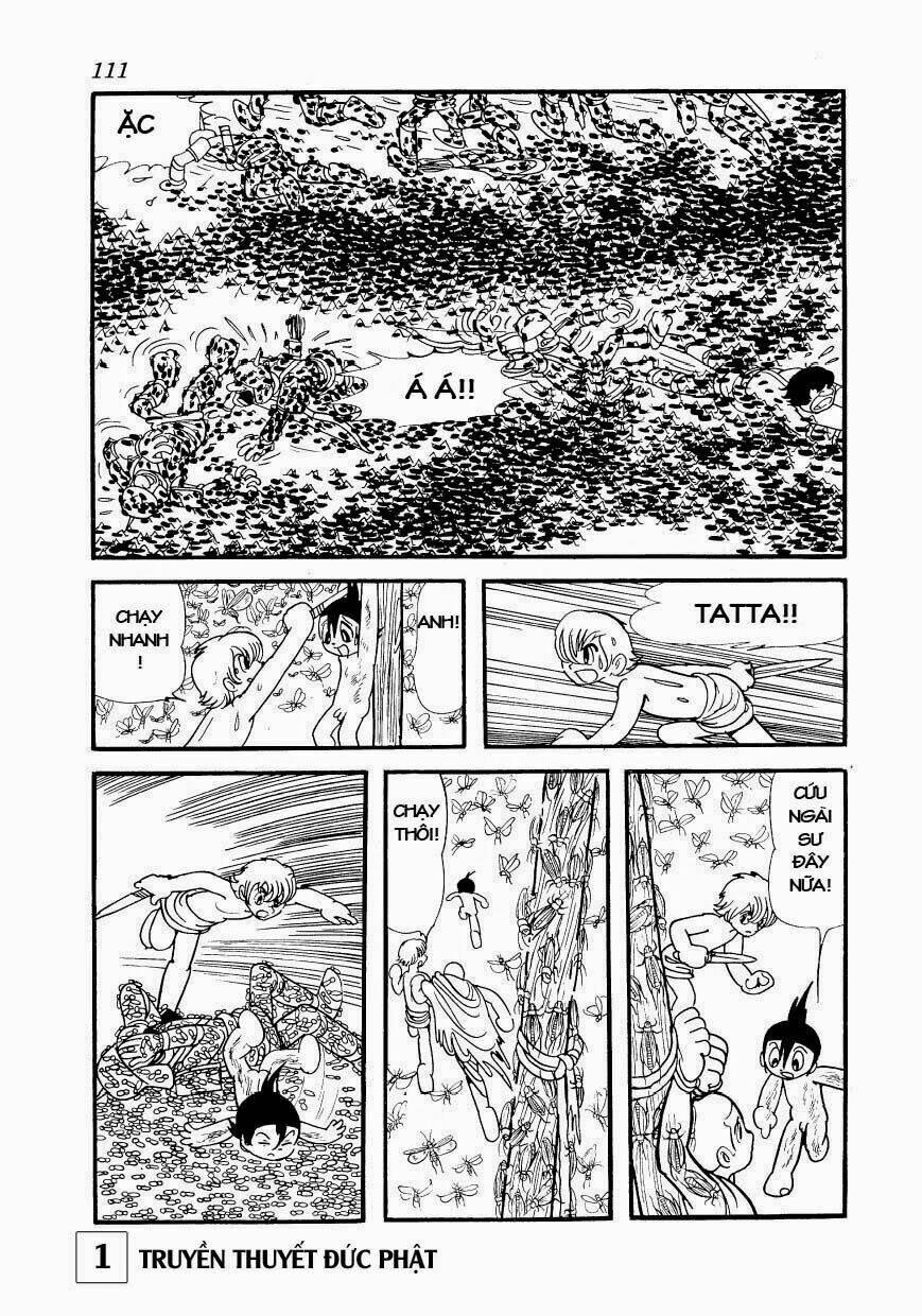 page_7.jpg