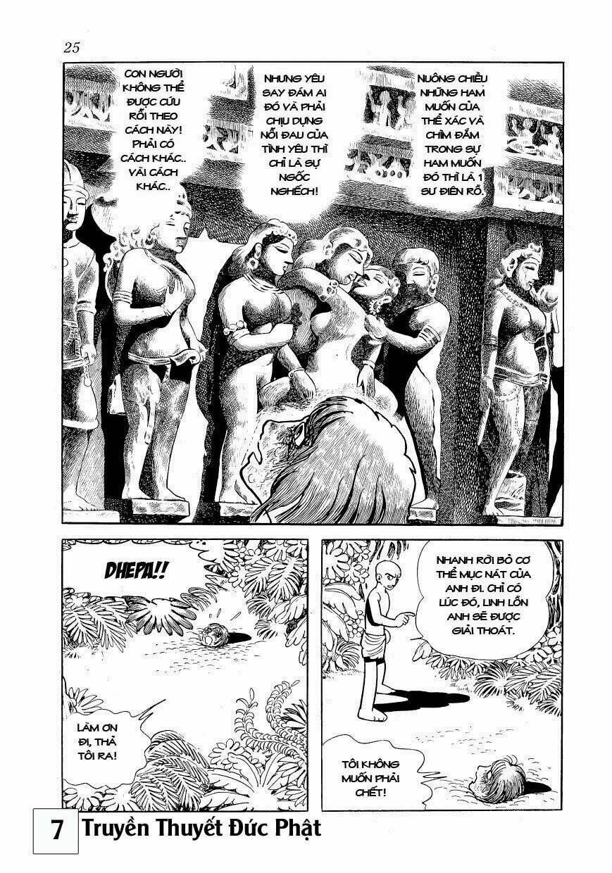 page_24.jpg