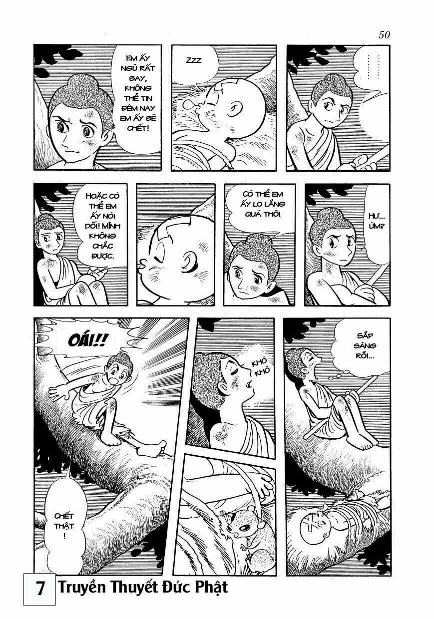 page_17.jpg