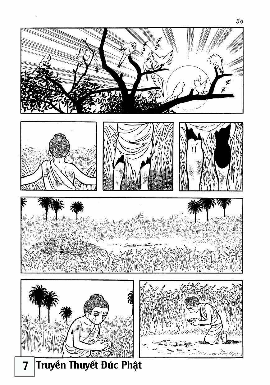 page_25.jpg