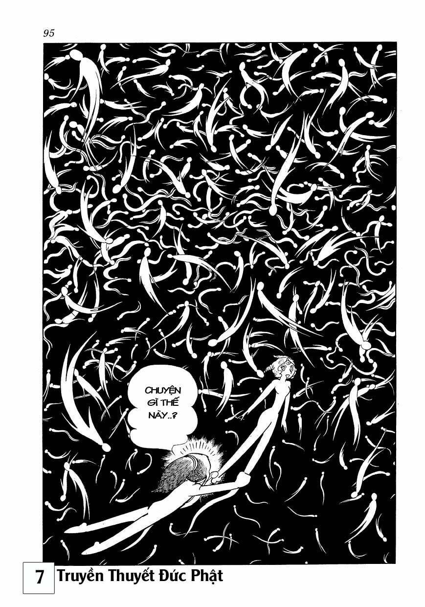 page_37.jpg