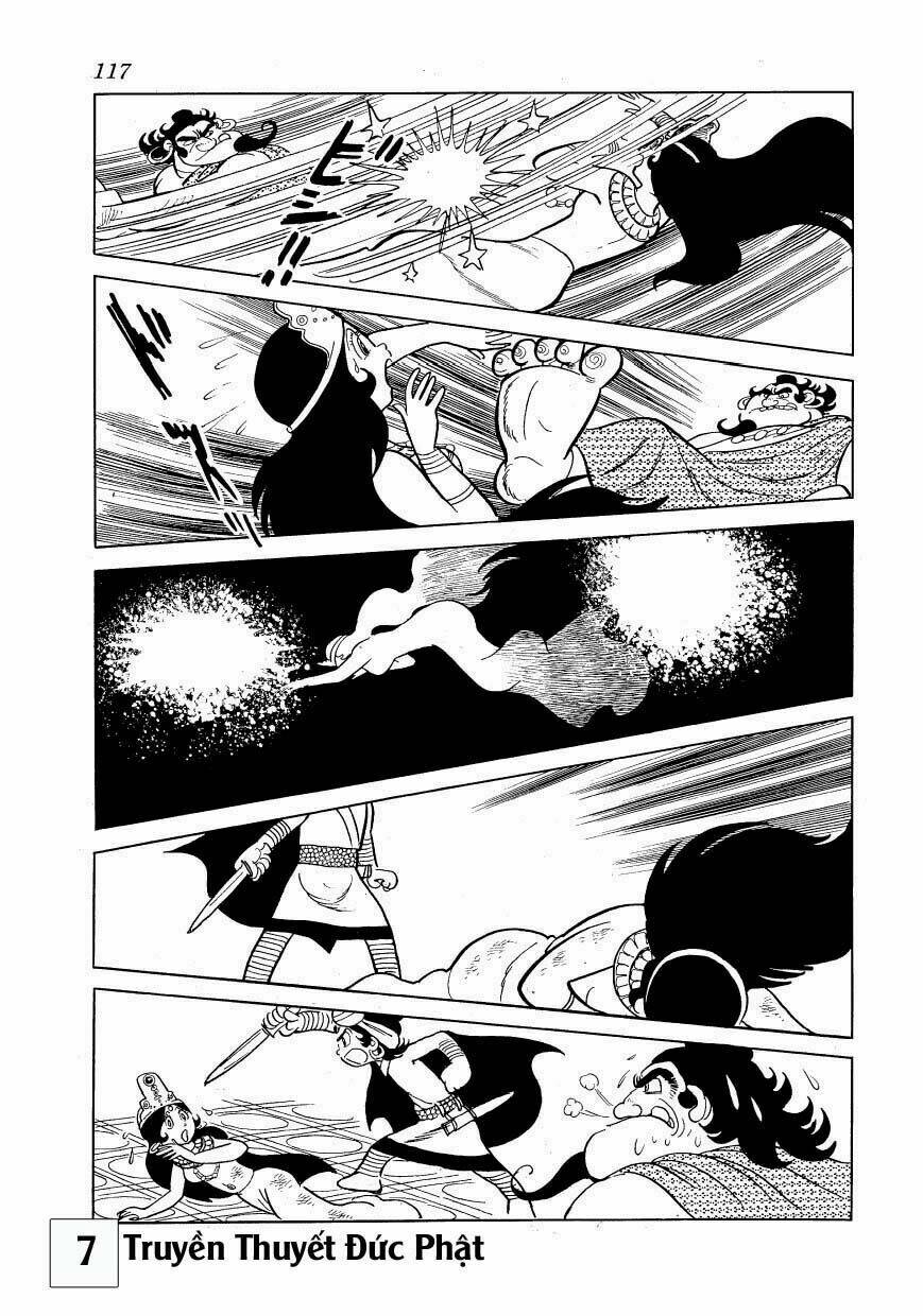 page_11.jpg