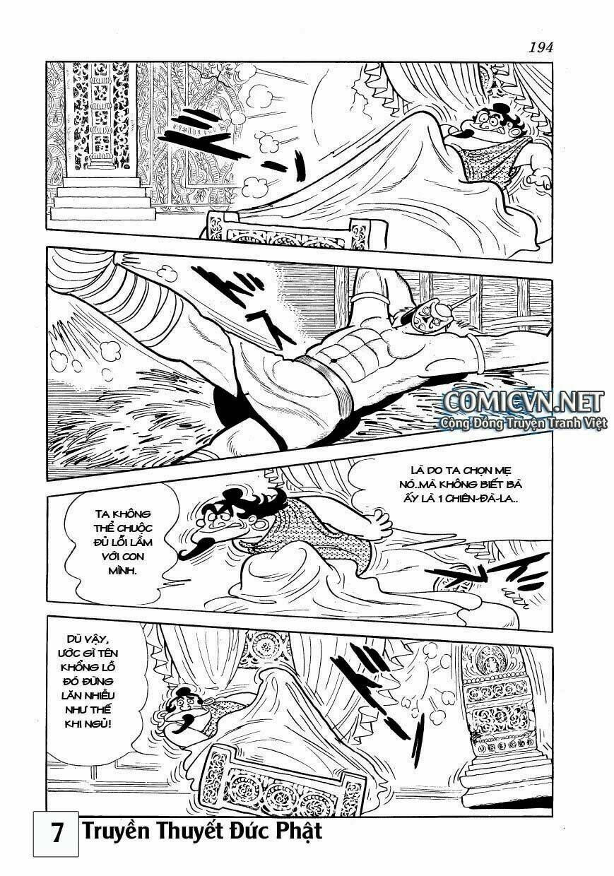 page_17.jpg