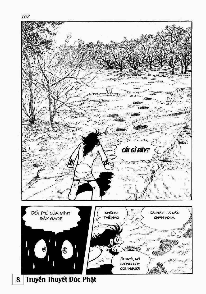 page_17.jpg