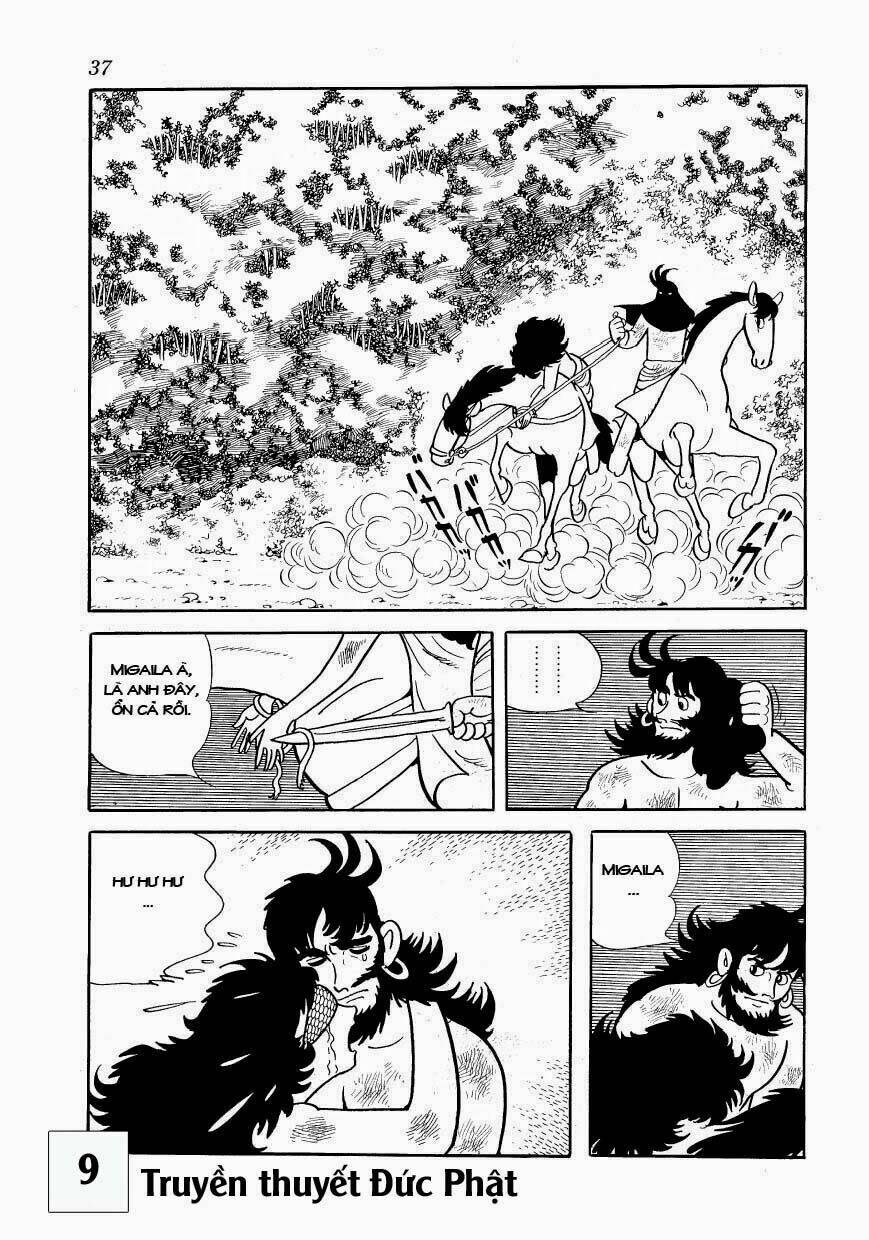 page_37.jpg