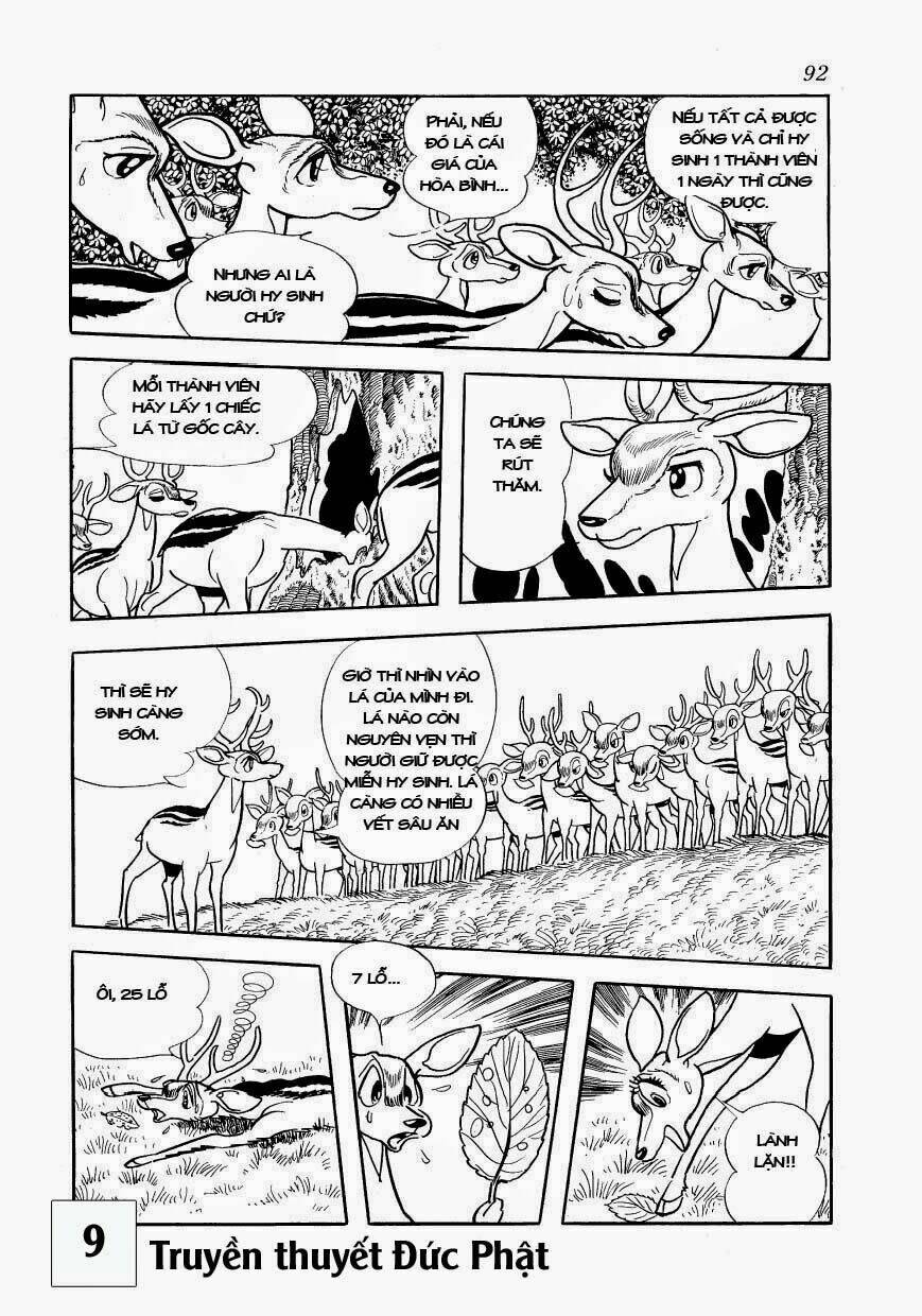 page_30.jpg