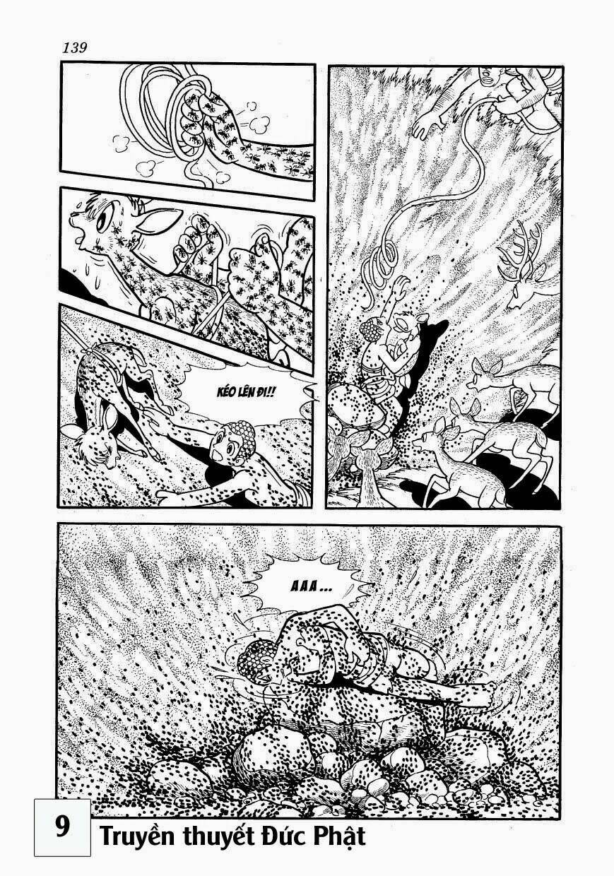 page_41.jpg