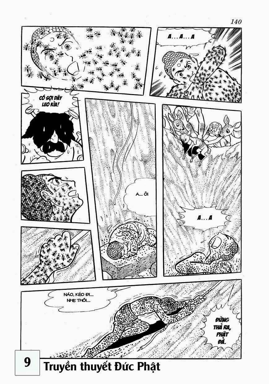 page_42.jpg