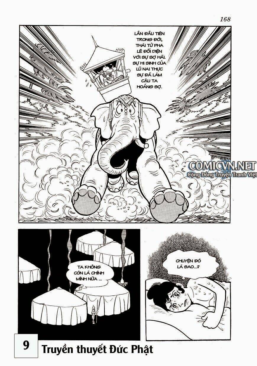 page_21.jpg