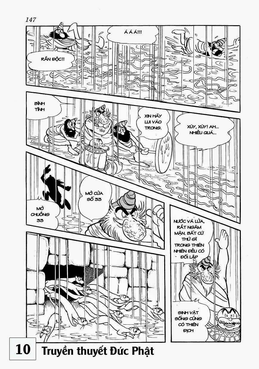 page_20.jpg