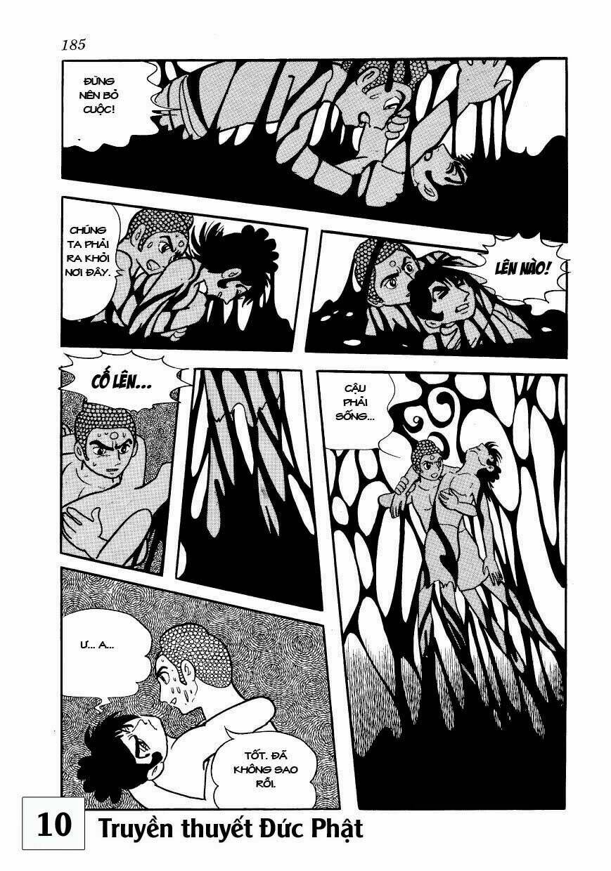 page_11.jpg