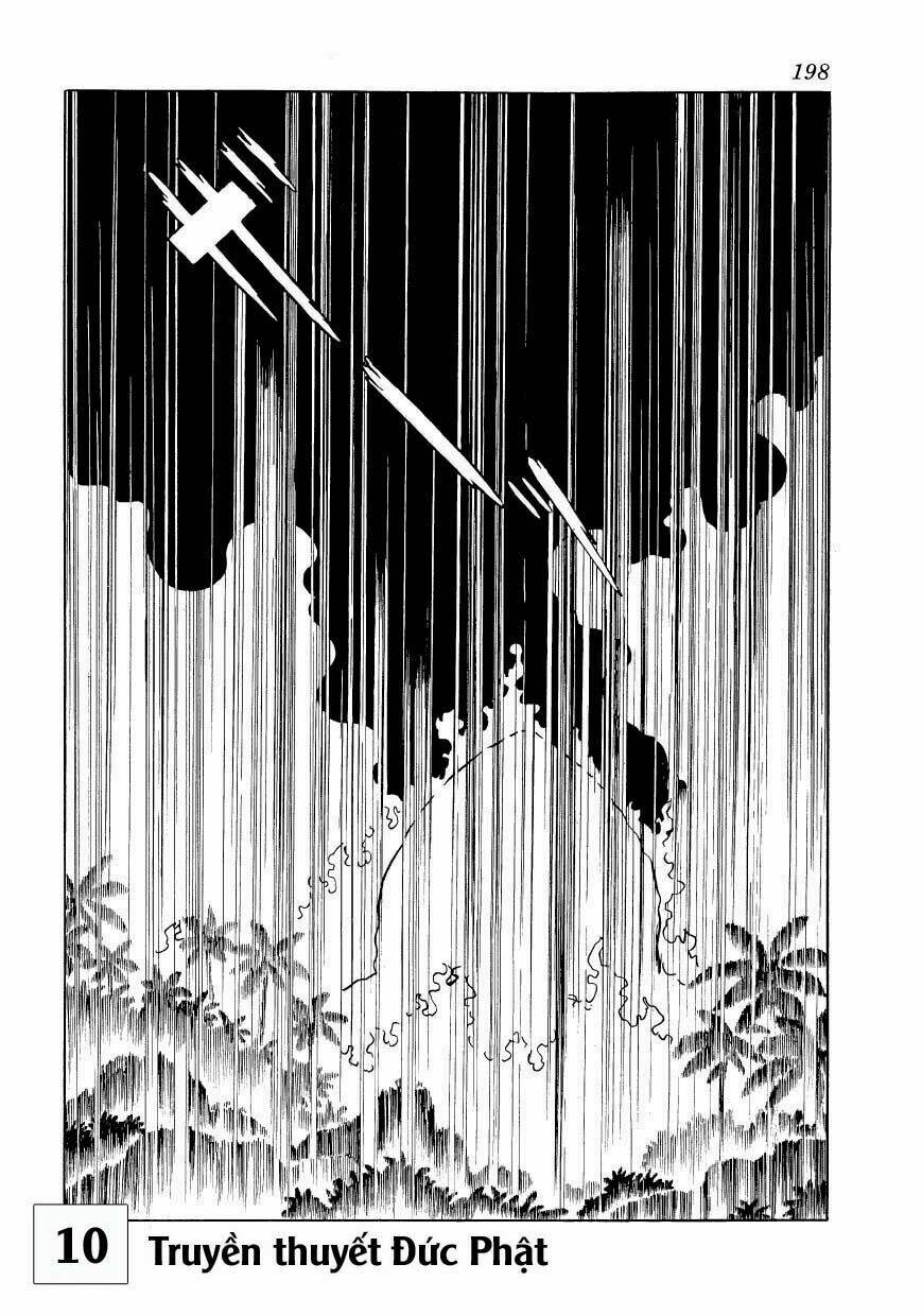 page_24.jpg