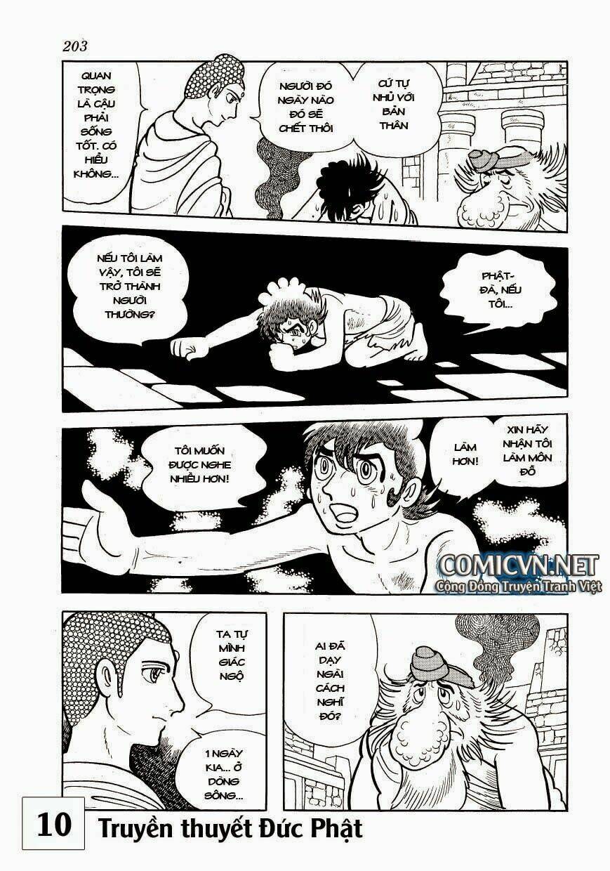 page_29.jpg