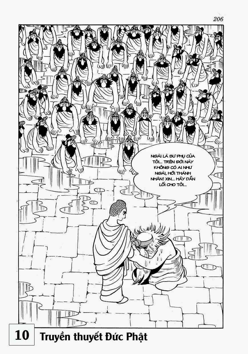 page_32.jpg
