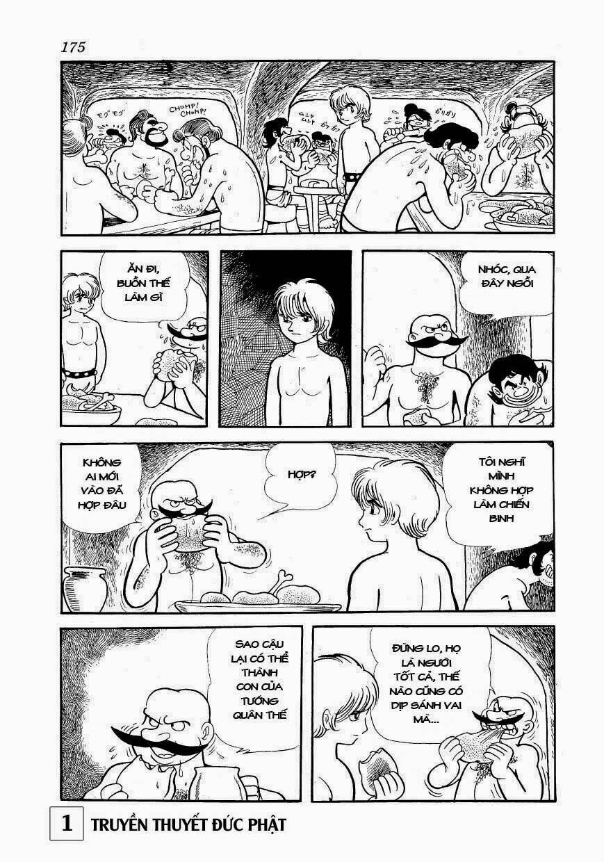 page_16.jpg