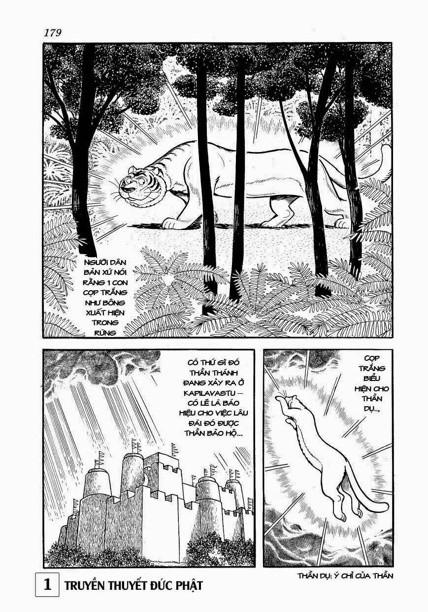 page_20.jpg