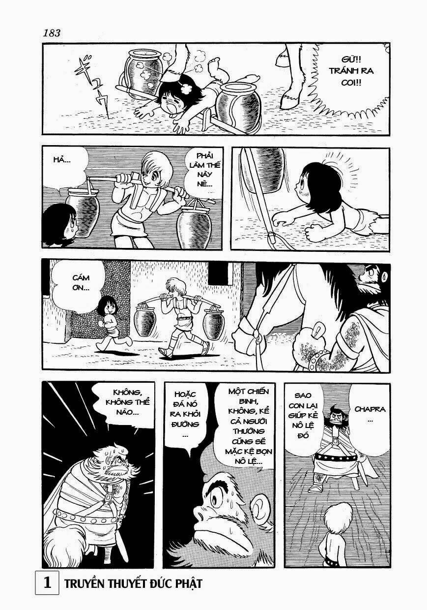 page_24.jpg