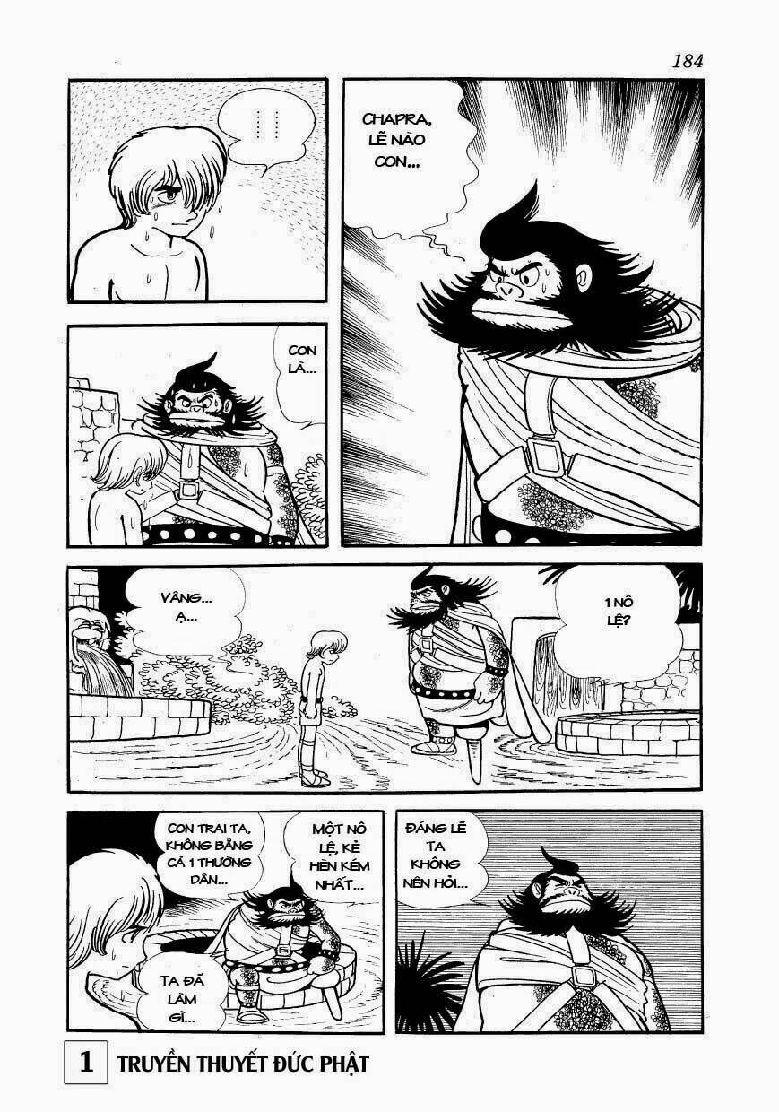 page_25.jpg