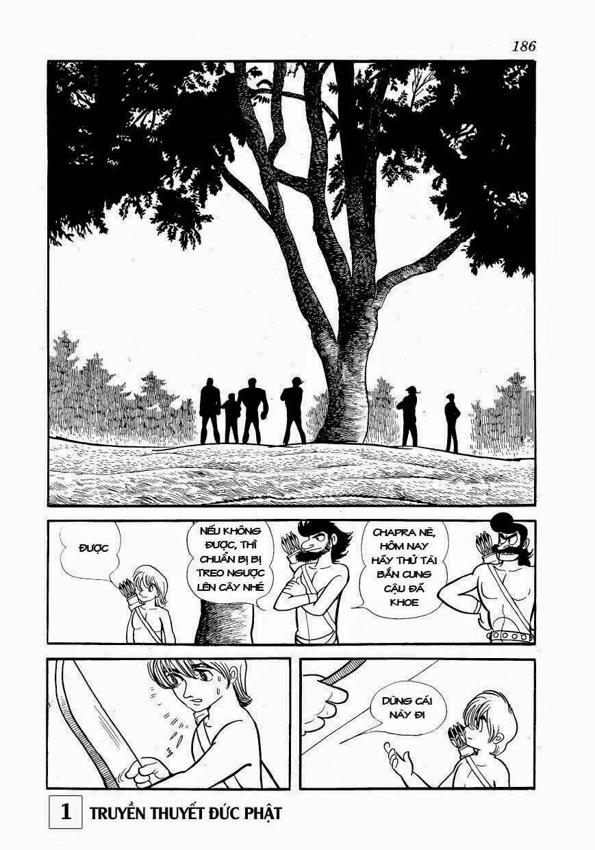 page_27.jpg