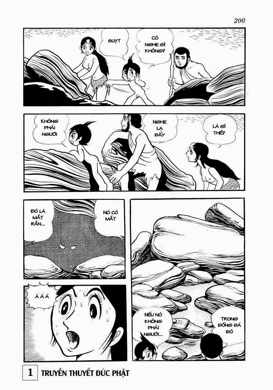 page_41.jpg