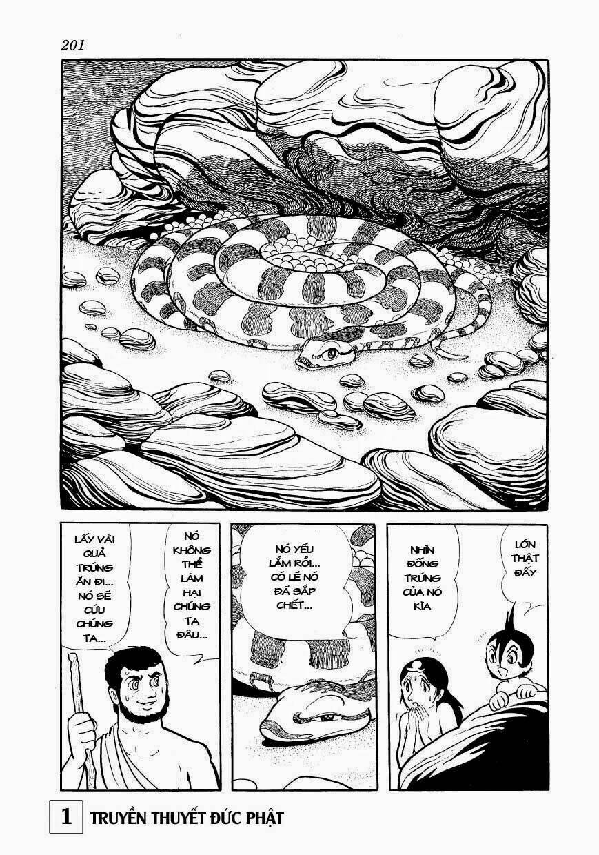 page_42.jpg