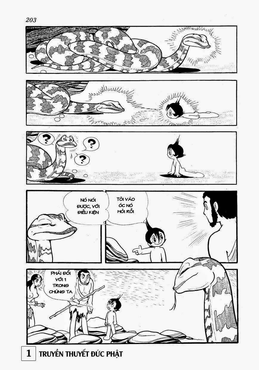 page_44.jpg
