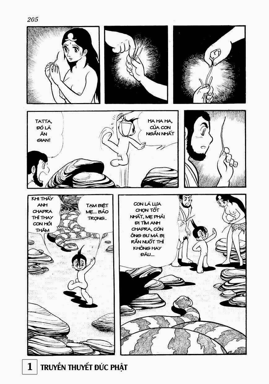 page_46.jpg
