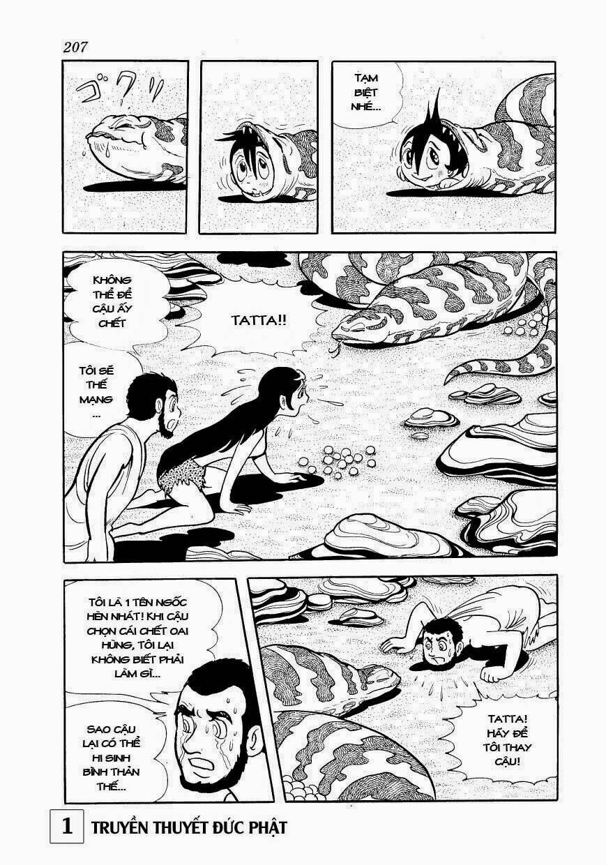 page_48.jpg