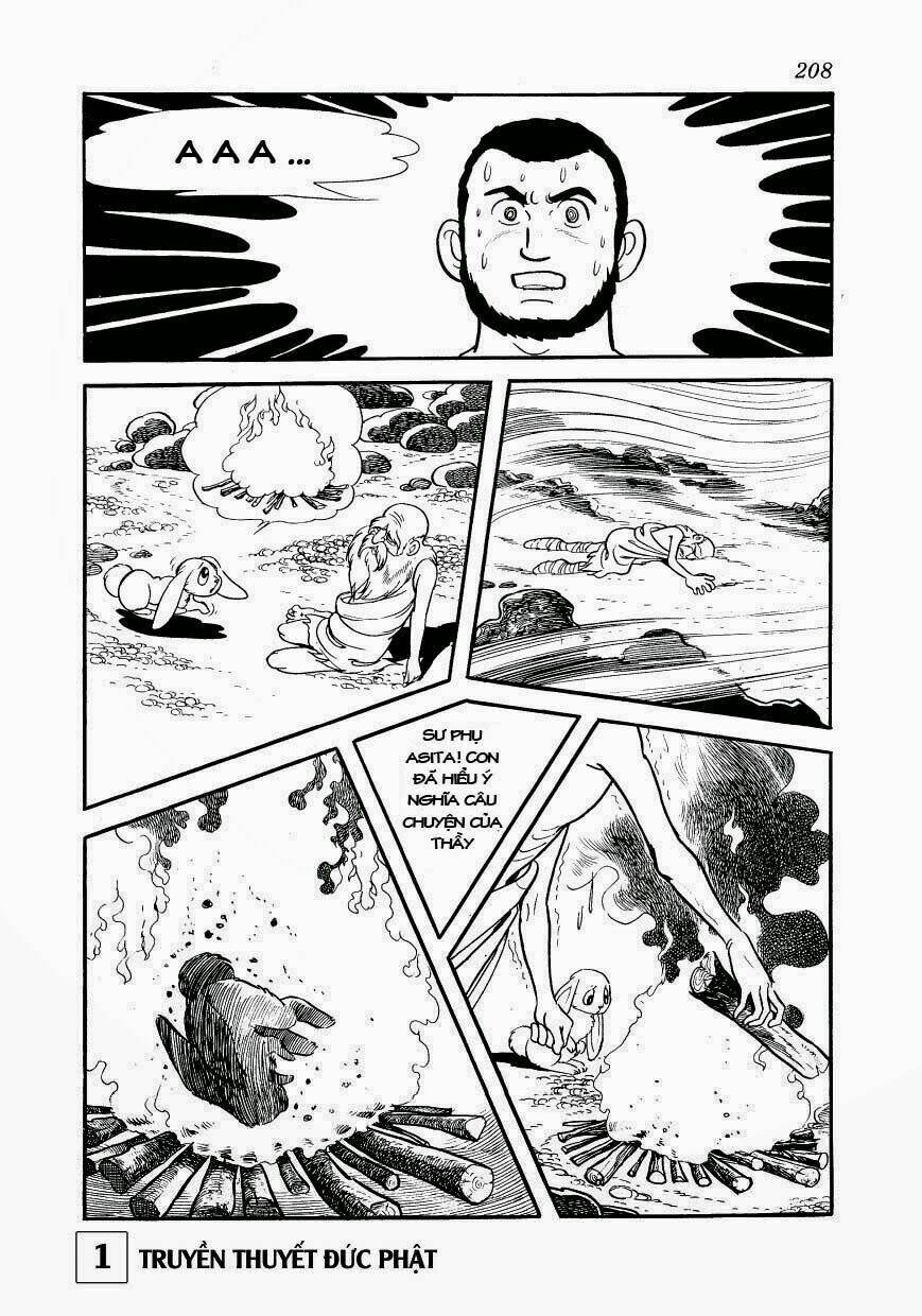 page_49.jpg