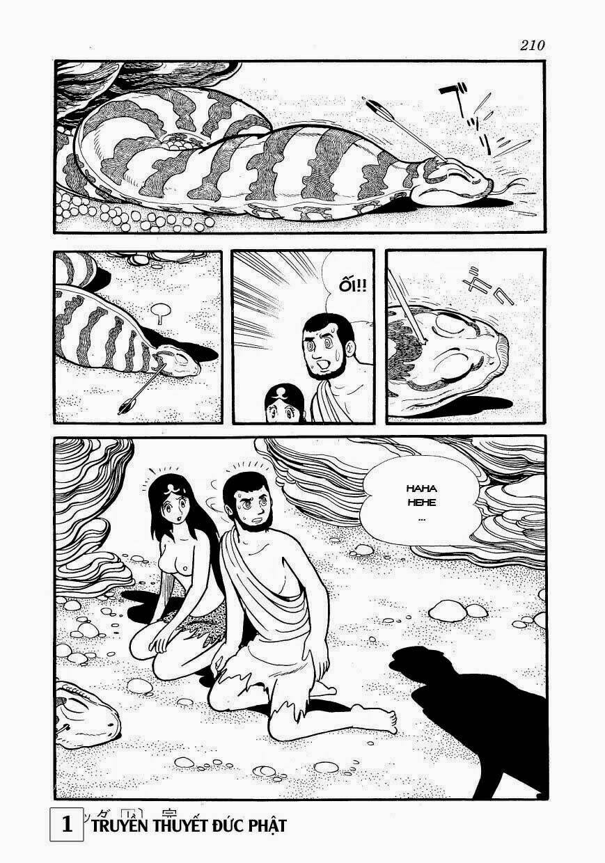 page_51.jpg