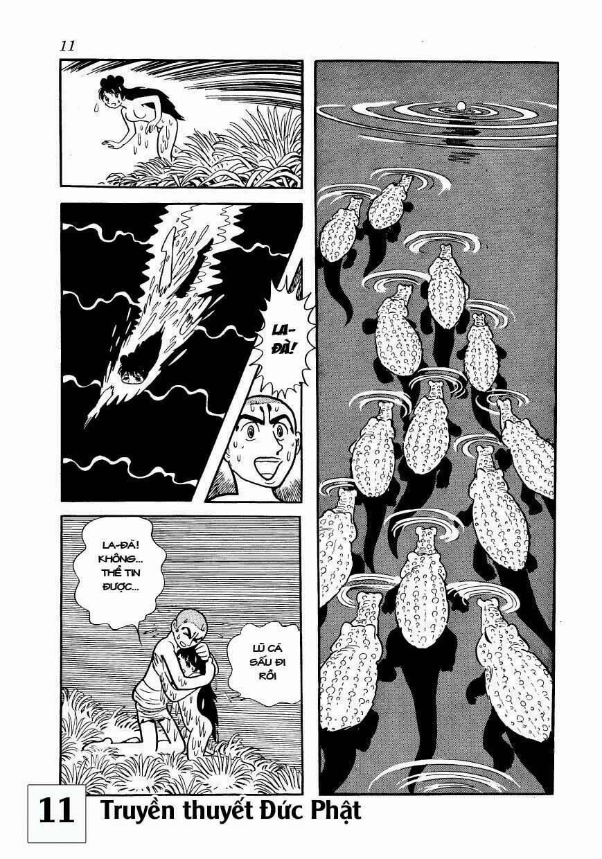 page_11.jpg