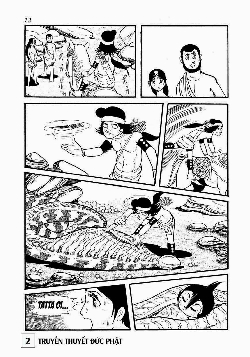 page_14.jpg