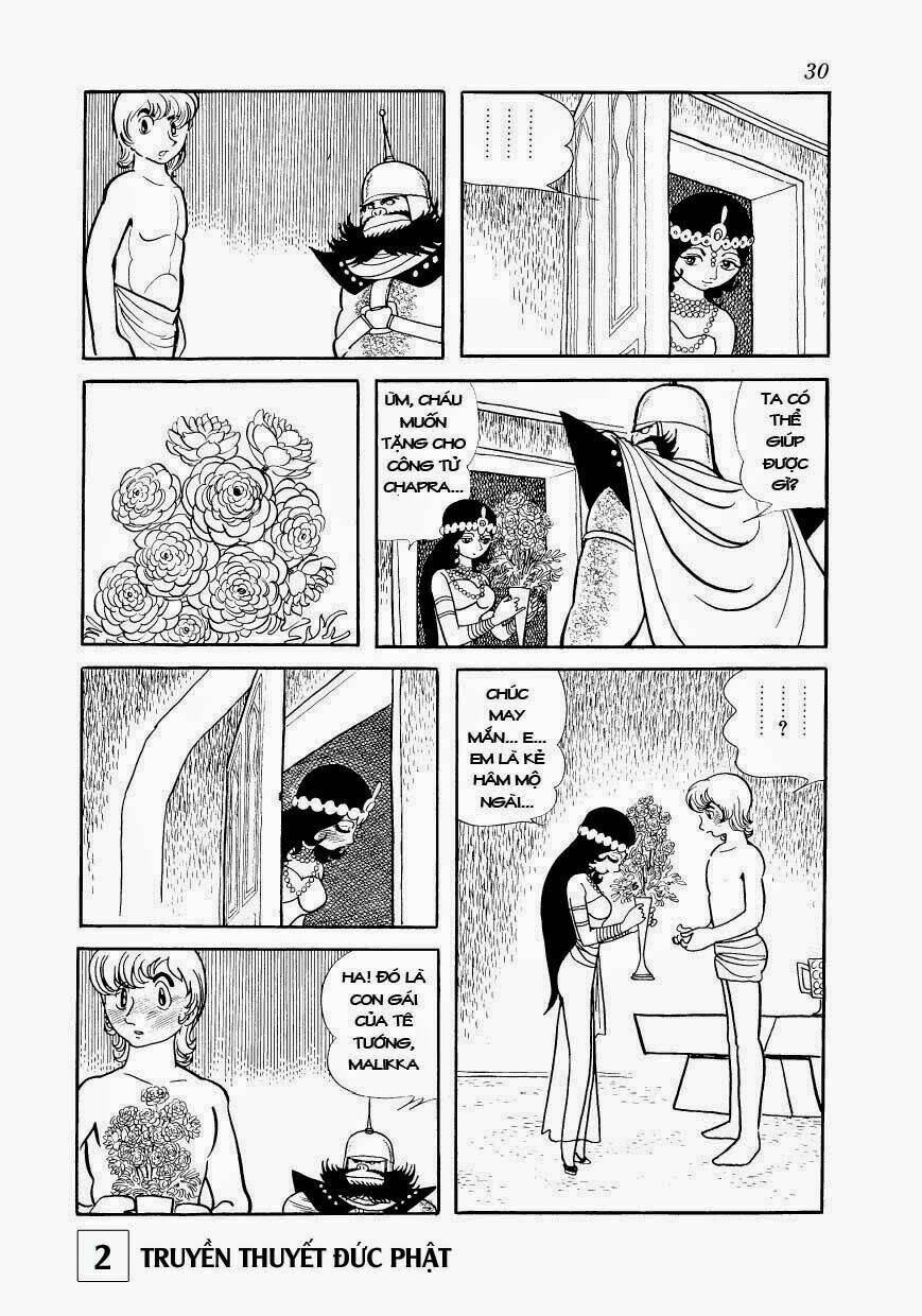 page_31.jpg