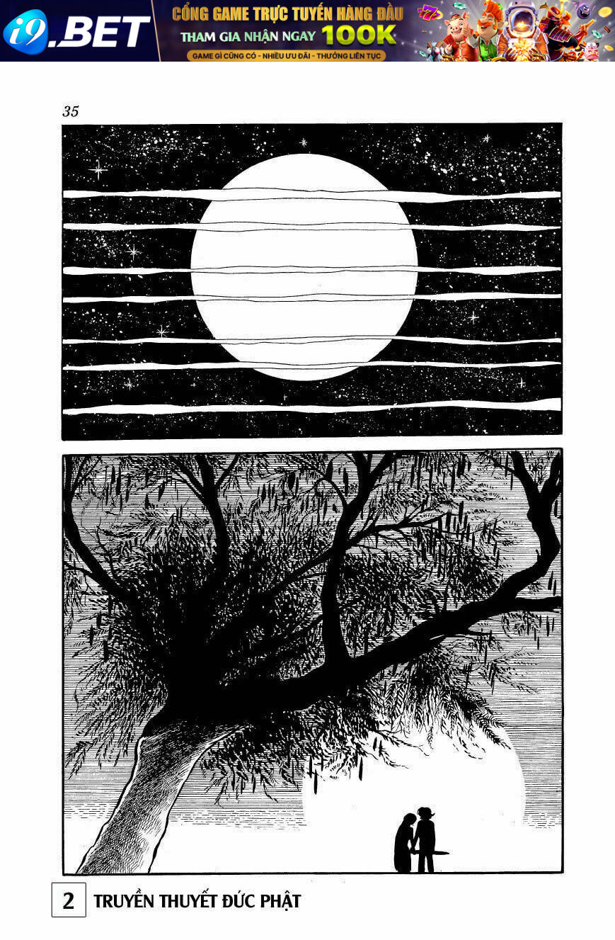 page_36.jpg