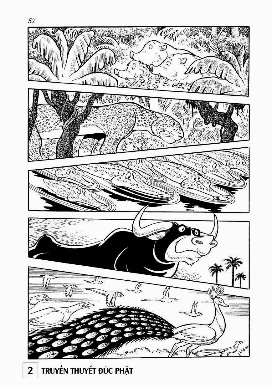 page_13.jpg