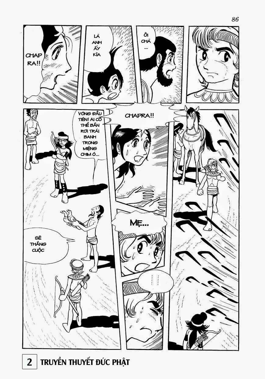 page_16.jpg