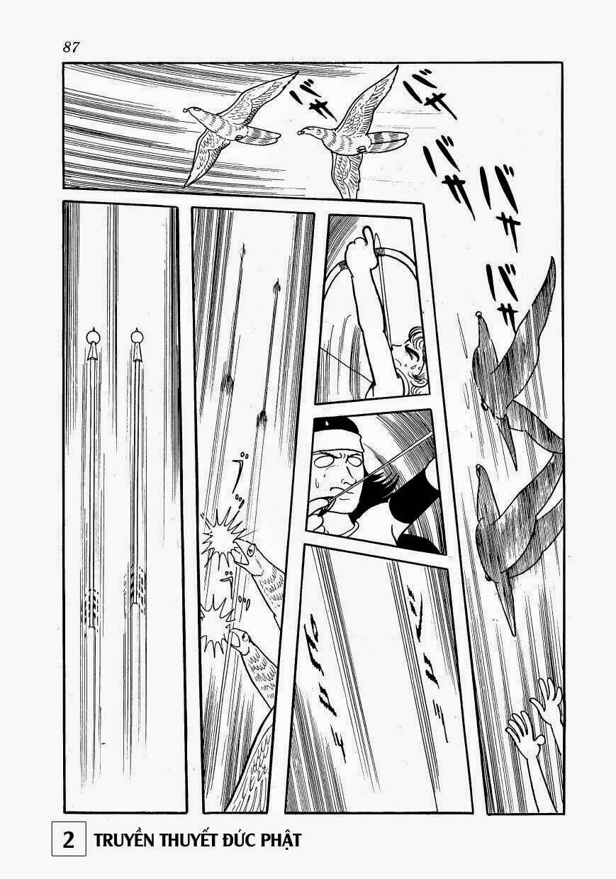 page_17.jpg