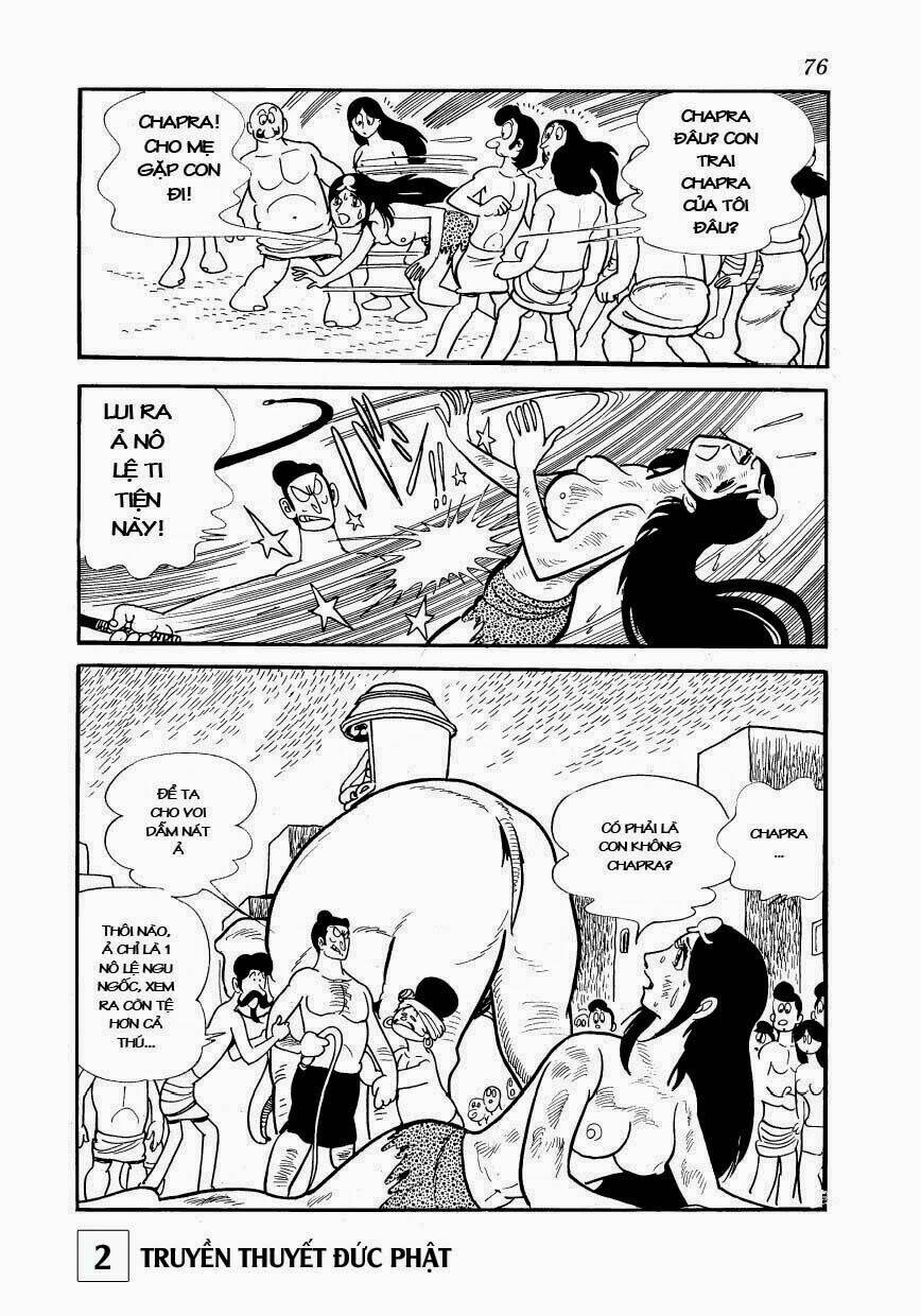 page_6.jpg