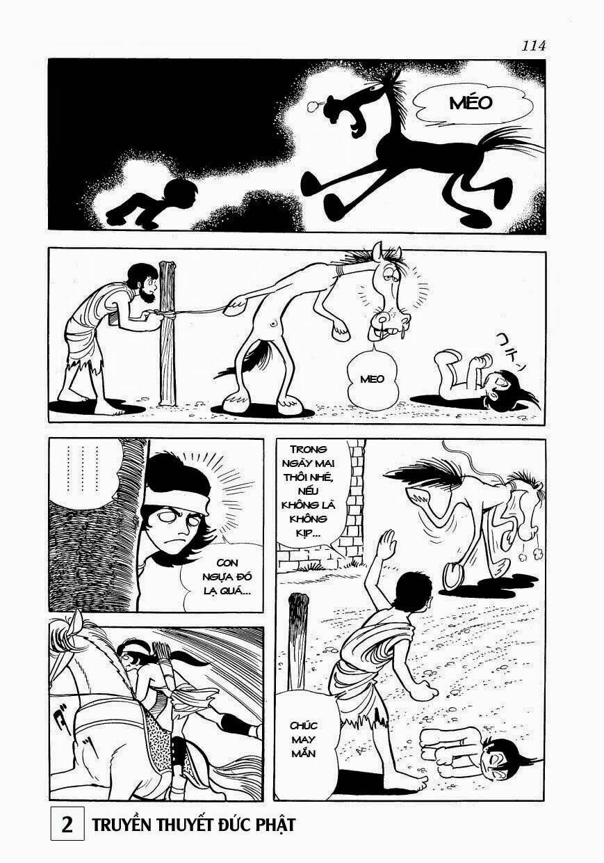 page_14.jpg